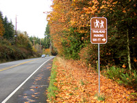 New Bird Viewing & Kayak Launch at Bayview Trailhead 10-22-16