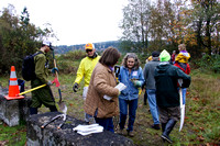 Shoreline Park Stewardship Day November 1, 2014--19th thru 36th Photos